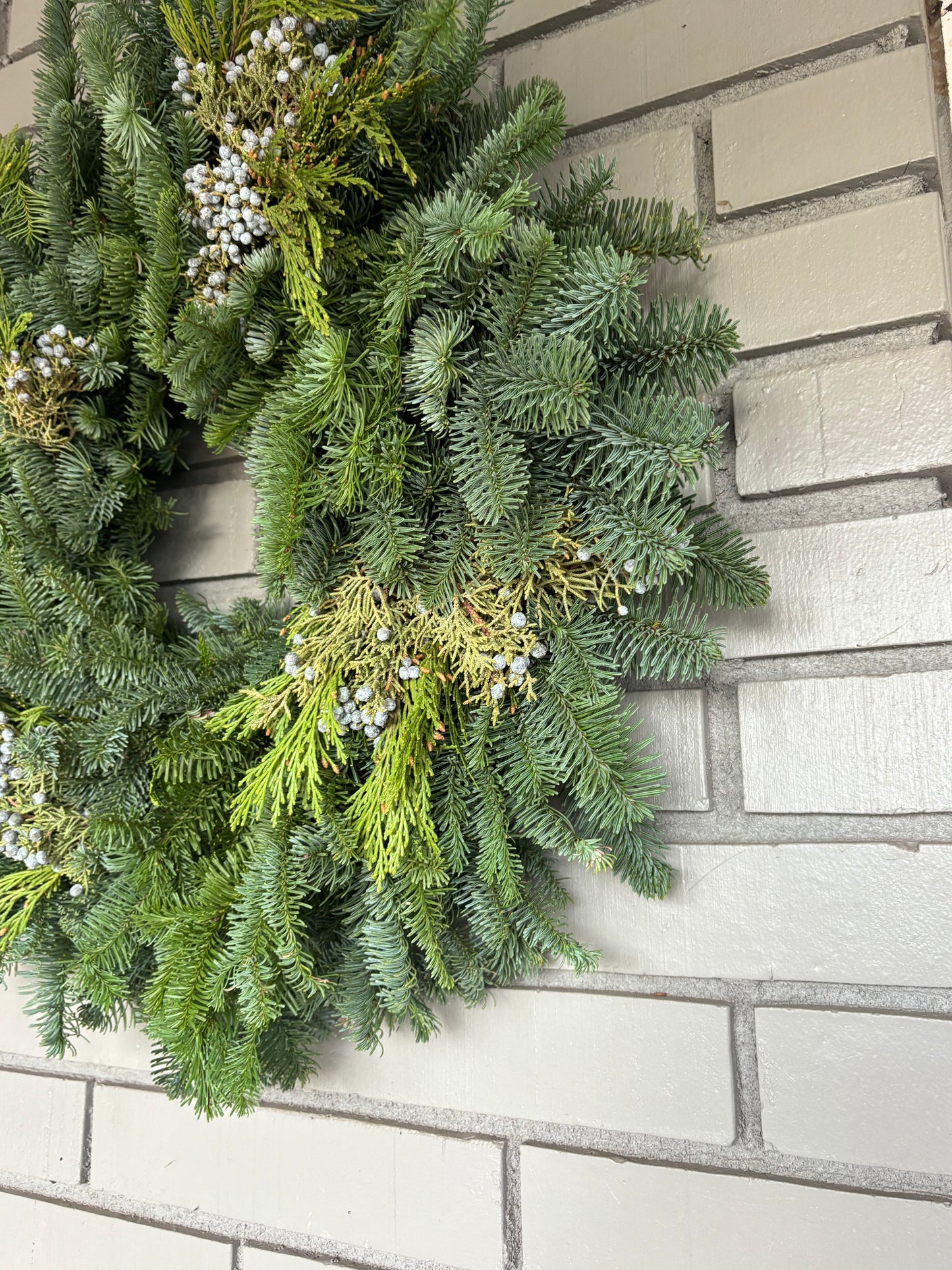 Mixed evergreen