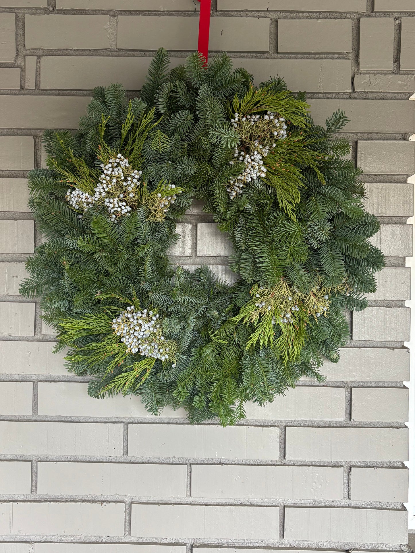 Mixed evergreen