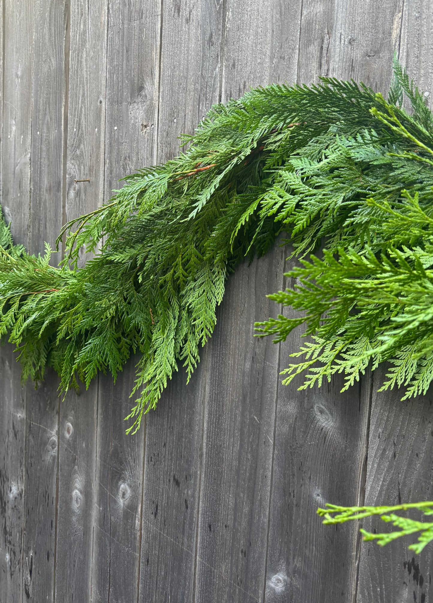 Red cedar garland
