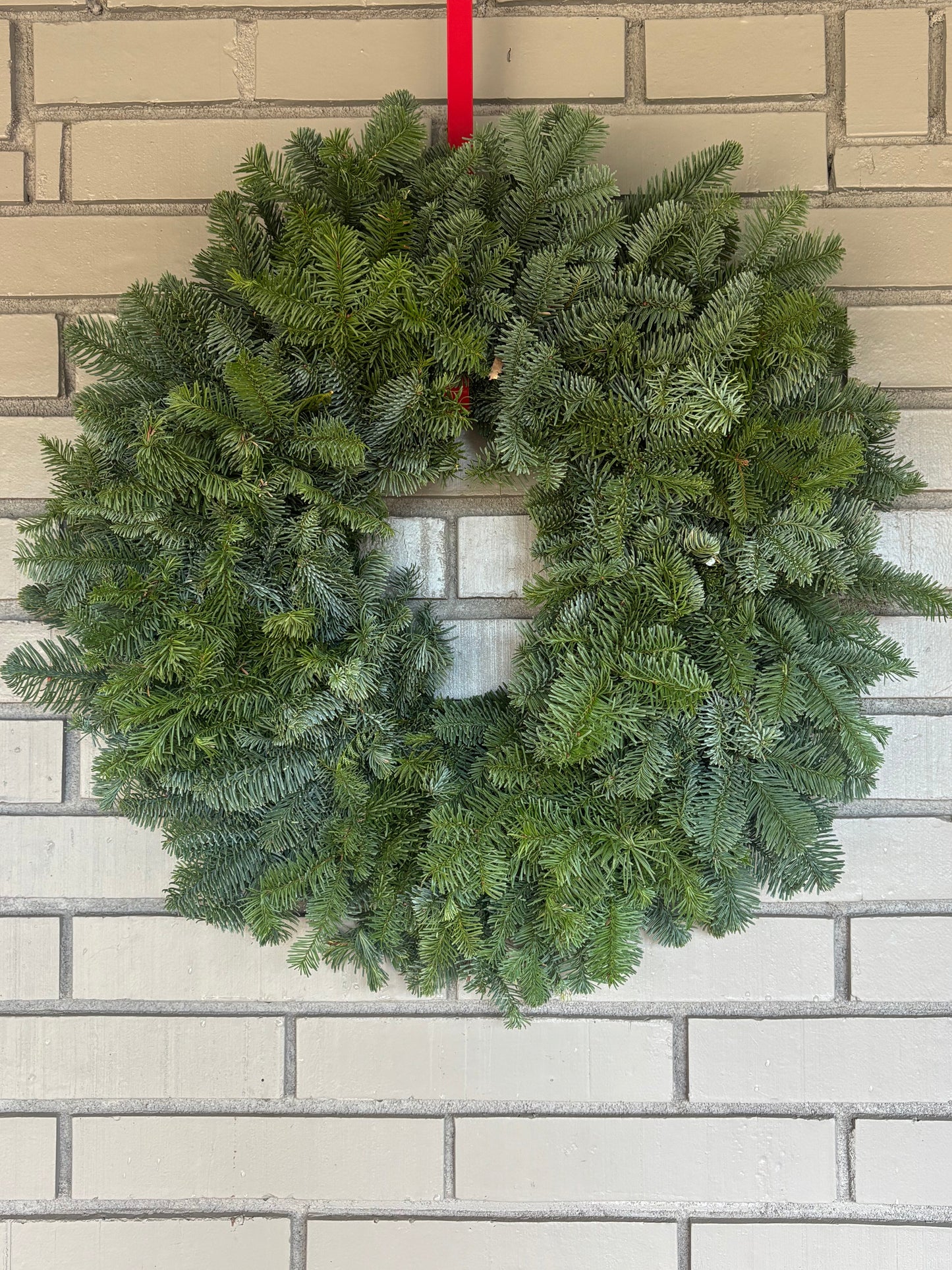 Noble fir