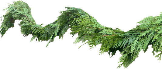 Western Red Cedar Garland